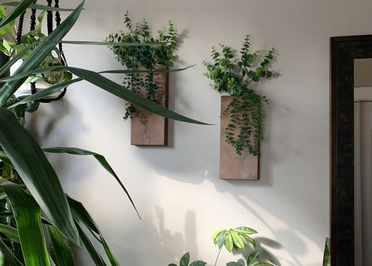 A Blend of Nature and Modernity