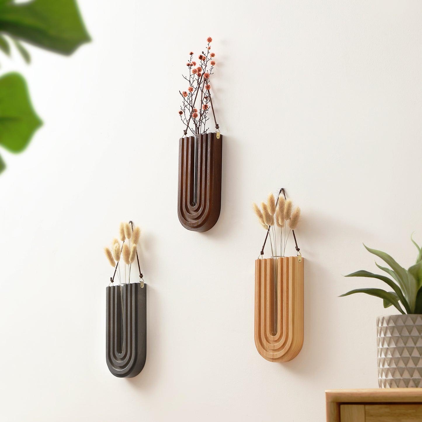 Wood Wall Propagation Station (Set of 3)