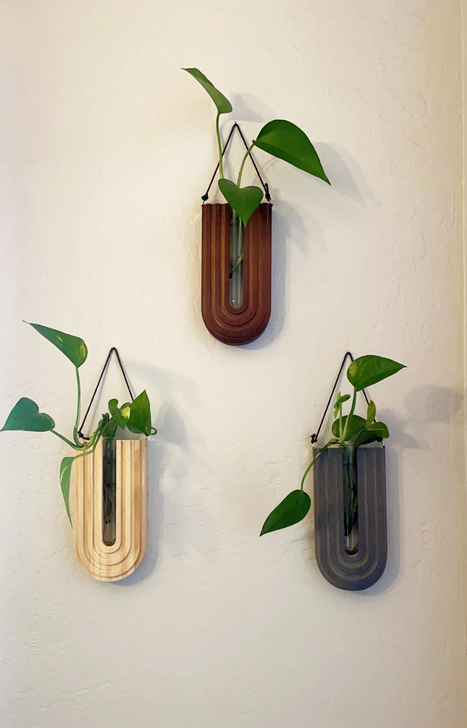 Wood Wall Propagation Station (Set of 3)