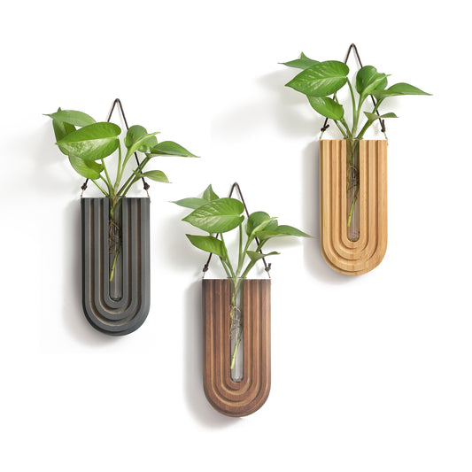 Wood Wall Propagation Station (Set of 3)